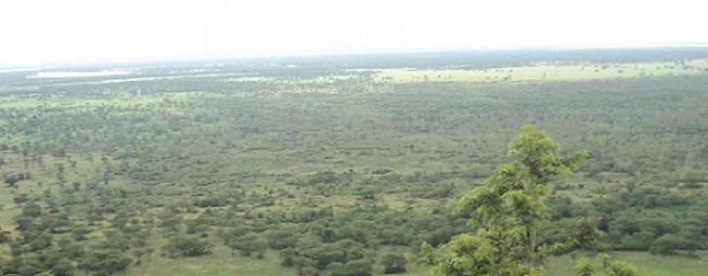 #htmlcaption-7 Queen Elizabeth National Park